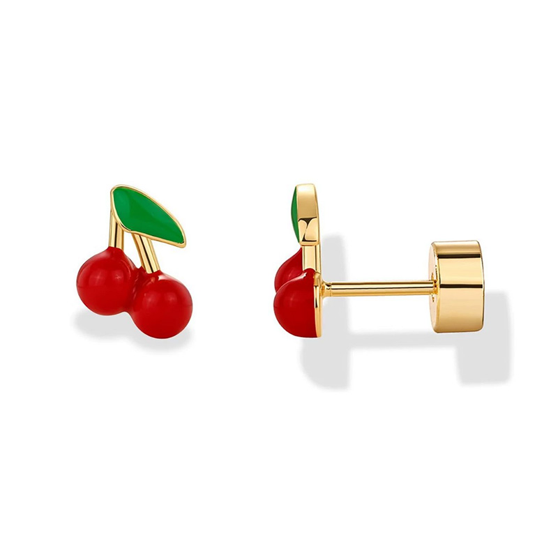 2pcs Cartilage Earrings Stud f - Body Jewelry Surgical Steel review and price
