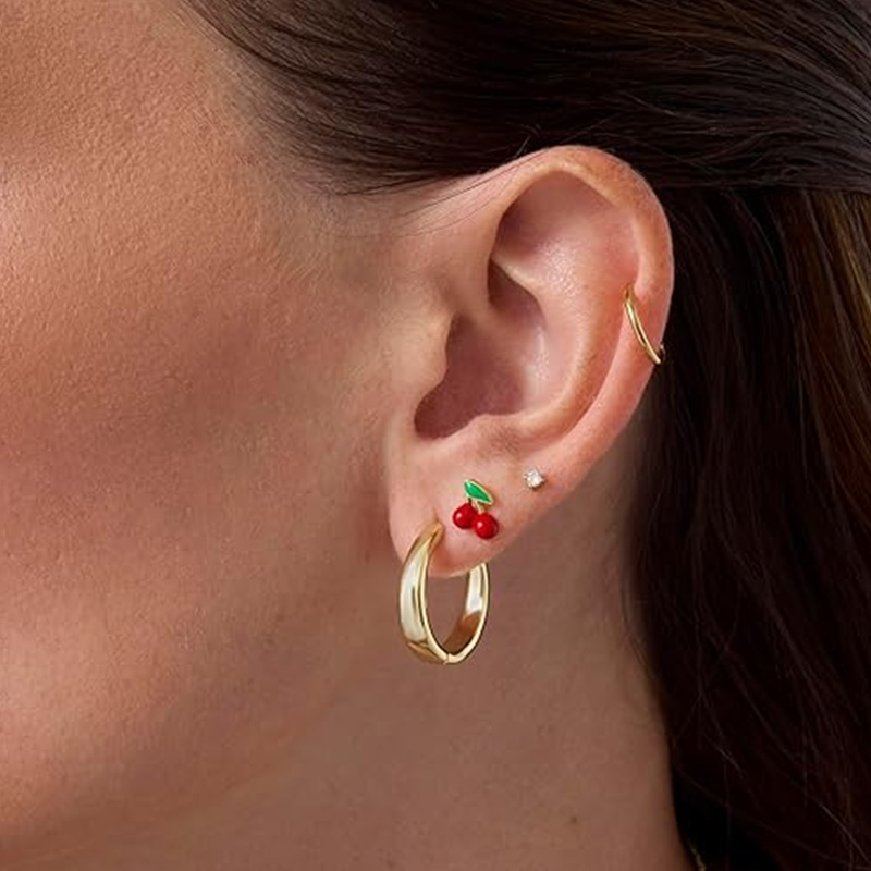 2pcs Cartilage Earrings Stud f - Body Jewelry Surgical Steel review and price